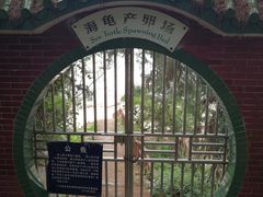 -广东惠东海龟国家级自然保护区