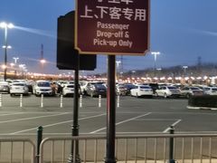 -迪士尼乐园停车场