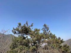 -抱龙峪