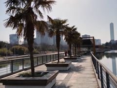-白塘生态植物园