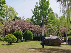 -天鹅湖体育公园