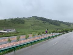 -关山草原