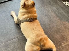 -三妹小龙虾·黄油蟹(华侨城总店)