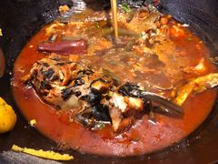 -鸽子刘铁锅炖鱼(劲松店)