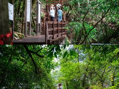 -光雾山旅游景区
