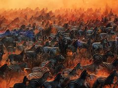 -罗红摄影艺术馆