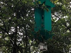 -广州市流溪河国家森林公园