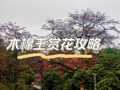 -广州中山纪念堂