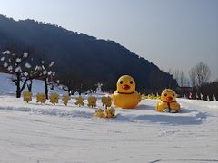 -吉姆冒险世界(蓟州店)