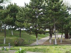 -莫子山公园