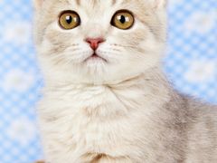 -水上乐园·欢乐世界