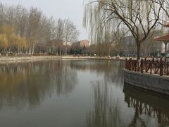 -张店儿童公园