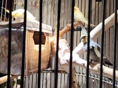 -清真·京华源铜锅涮肉(丰庆店)