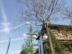 -西安青龙寺遗址景区
