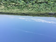 洪湖蓝田-洪湖生态旅游区