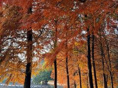 -池州市平天湖风景区