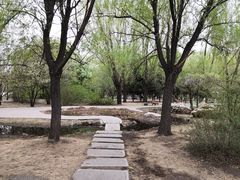 -吉林大学(前卫南区)