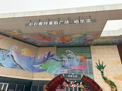 -杉杉奥特莱斯广场(哈尔滨店)