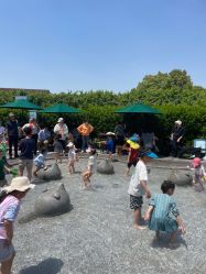 点击看大图 -季高兔窝窝亲子园(上海薰衣草公园店)