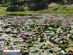 -聚龙山公园