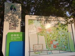 -昆山城市生态森林公园