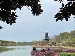 -上海鲜花港