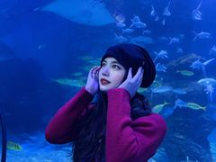 -左海海底世界