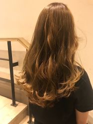 点击看大图 -金棕榈