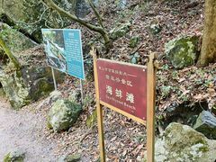 -黄山翡翠谷景区