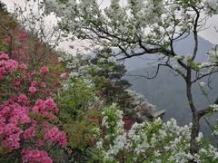 -木兰云雾山