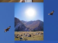 -扁都口生态休闲旅游区