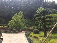 -韶山毛泽东同志故居