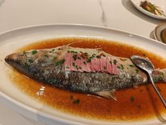 清蒸鲥鱼-廊亦舫Lang Yi Fang Restaurant(金桥店)