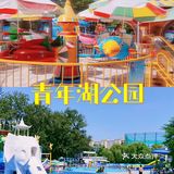 青年湖公园｜儿时的记忆