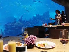 -海棠湾洲际-涛·海底餐厅·美人鱼·自助餐·海底隧道