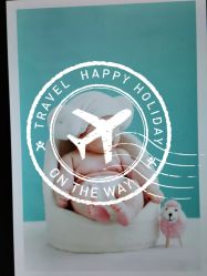 -星豆豆儿童摄影(南郊太白南路店)