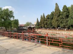 -保定市动物园