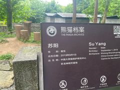 -都江堰中华大熊猫苑