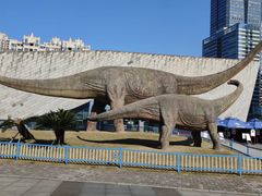 -安徽省地质博物馆