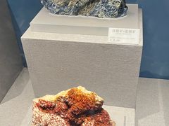 -贵州省地质博物馆