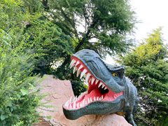 -青岛方特梦幻王国