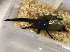 -重庆国际会议展览中心