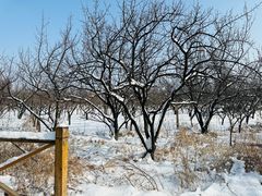 -北京龙庆四季香农家饭庄·灶台鱼·碳烤虹鳟鱼(龙庆峡店)