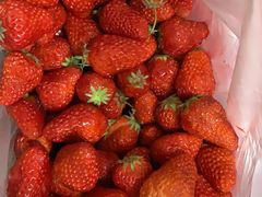 -红星楼标准化菜市场(红星里店)