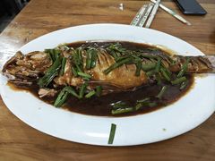 -小叶大馅饺子城