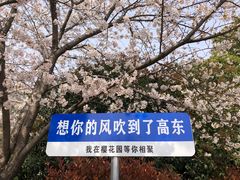 -高东镇樱花园