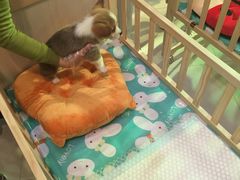 -凯德广场(学府店)