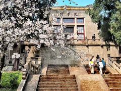 -武汉大学-樱园