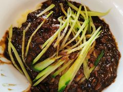 炸酱面-桃园中华料理炸酱面(燕儿岛路店)
