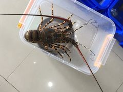 -QQ海鲜餐厅